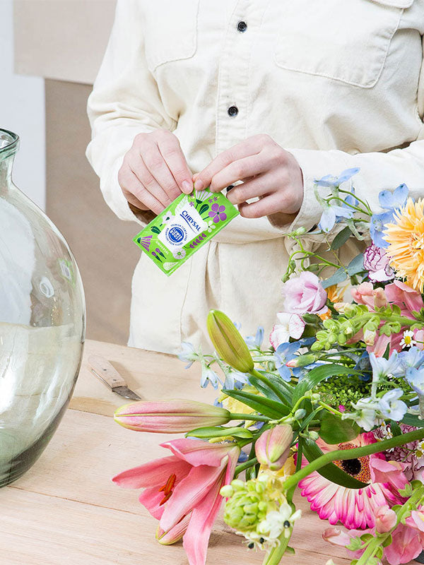 Person using Chrysal Flower Food Packet