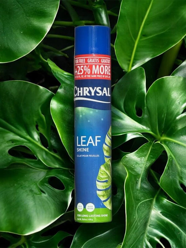 Chrysal Leafshine Spray 25oz on foliage